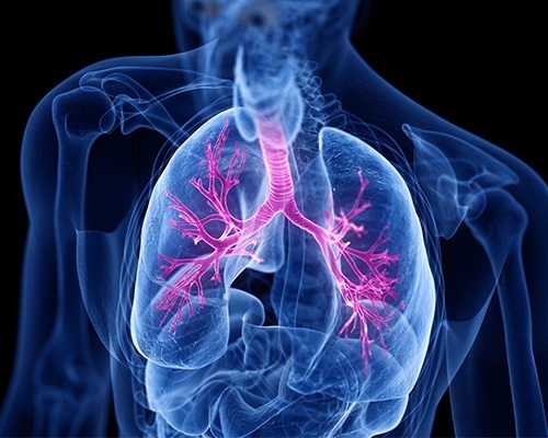 cartoon respiratory system