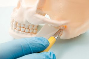 Gloved hand pointing to temporomandibular joint